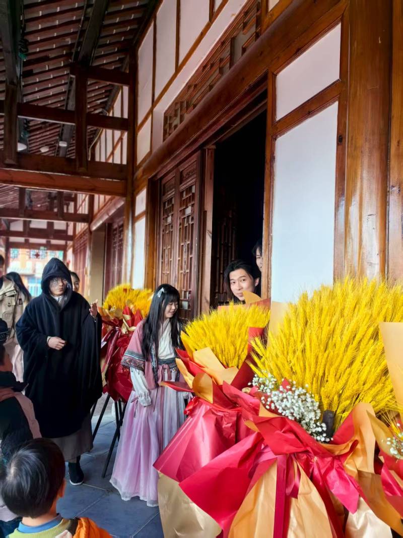 那坡县文旅项目策划